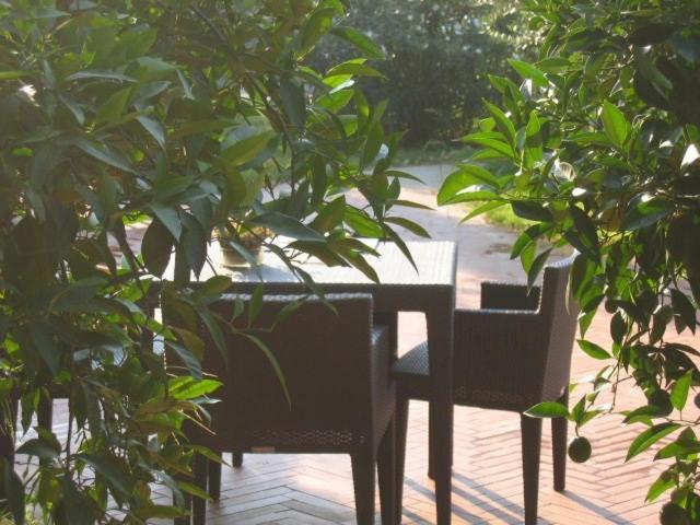 Al Melograno - Room & Breakfast Bologna Ngoại thất bức ảnh