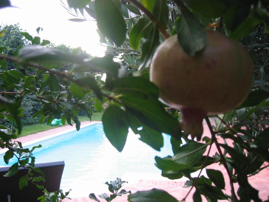 Al Melograno - Room & Breakfast Bologna Ngoại thất bức ảnh